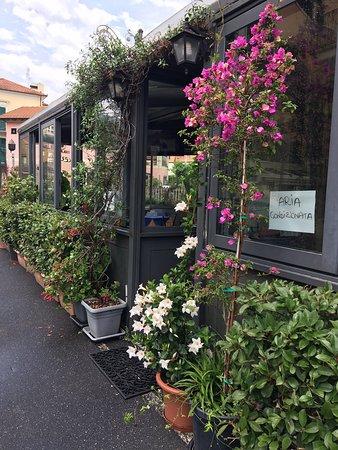 Bar Eden Gelateria Artigianale